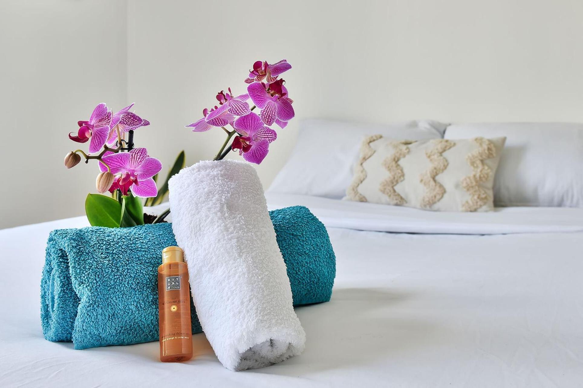 Soyeux De La Bruyere/ Grenoble*Parking Gratuit Apartment ภายนอก รูปภาพ